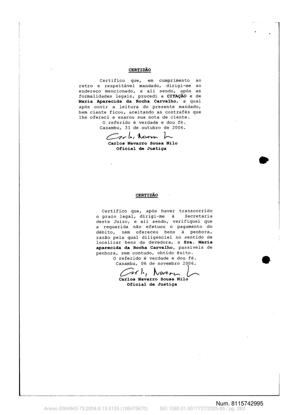 Página 263