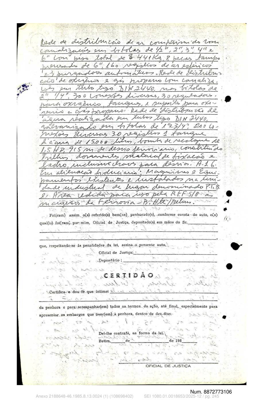 Página 245