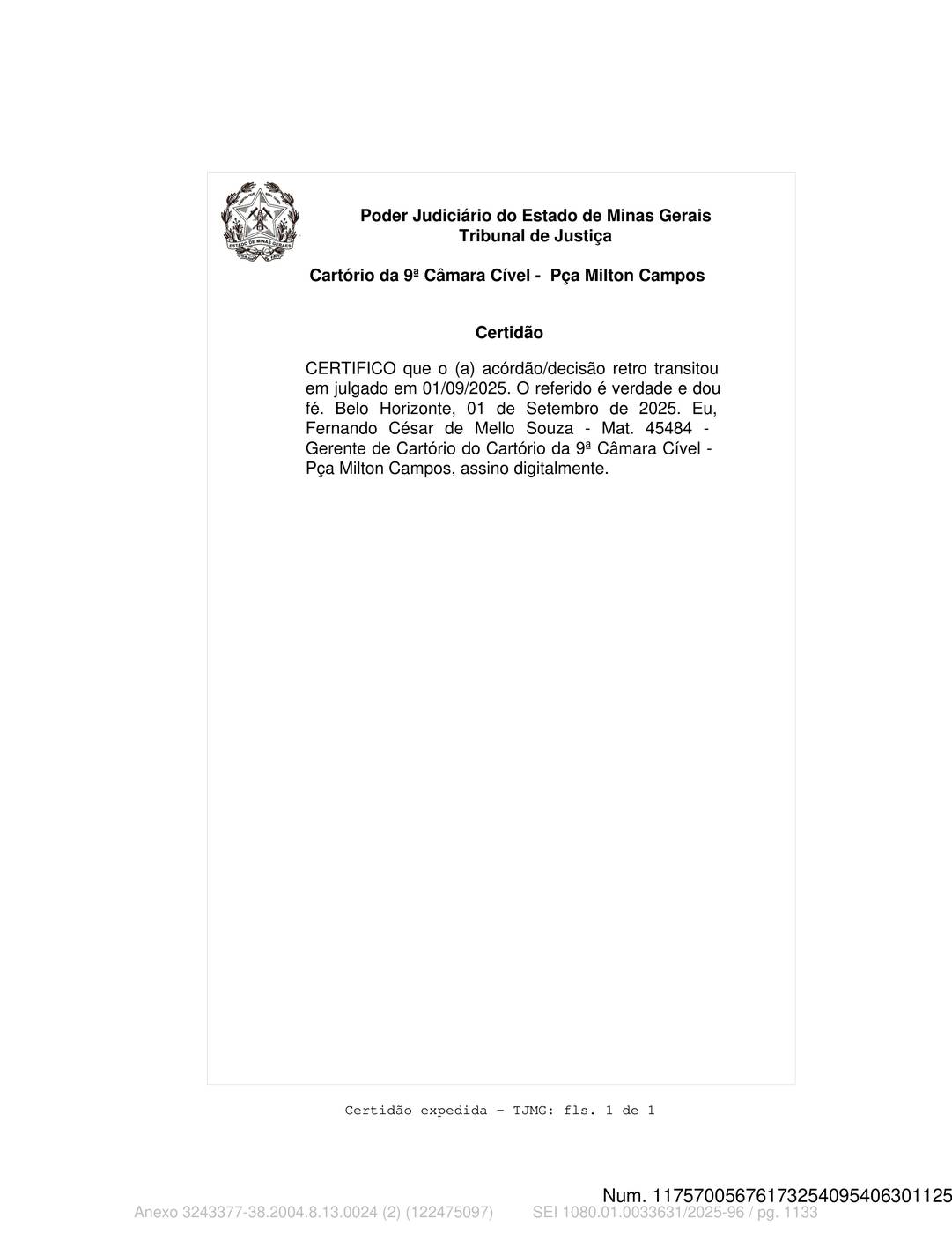 Página 1133