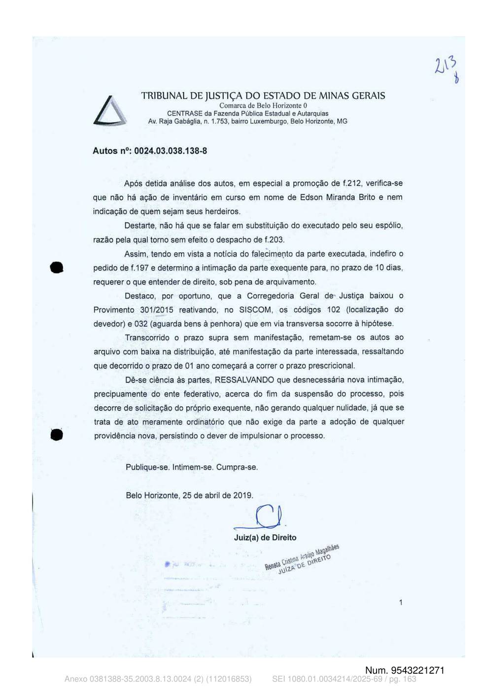 Página 163