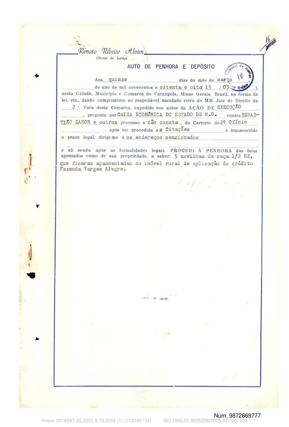 Página 224