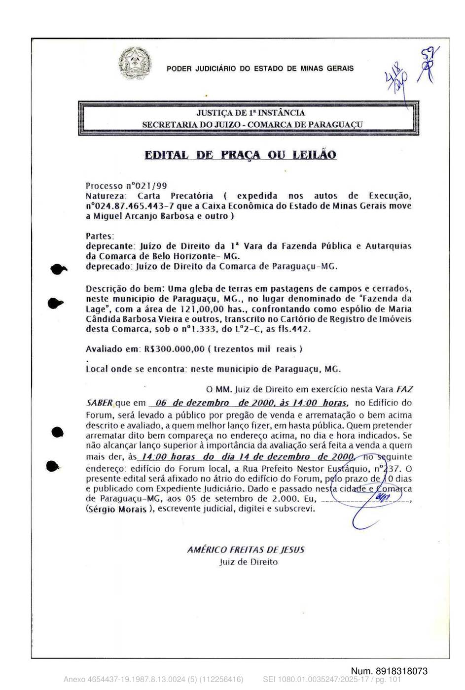 Página 101