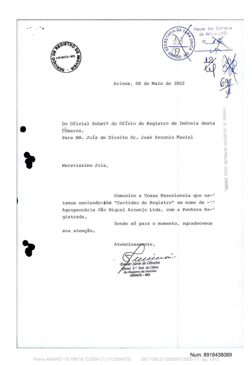 Página 1315