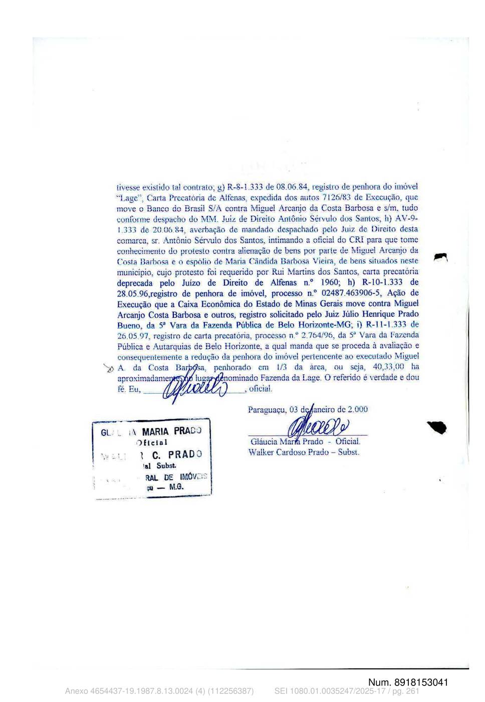 Página 261