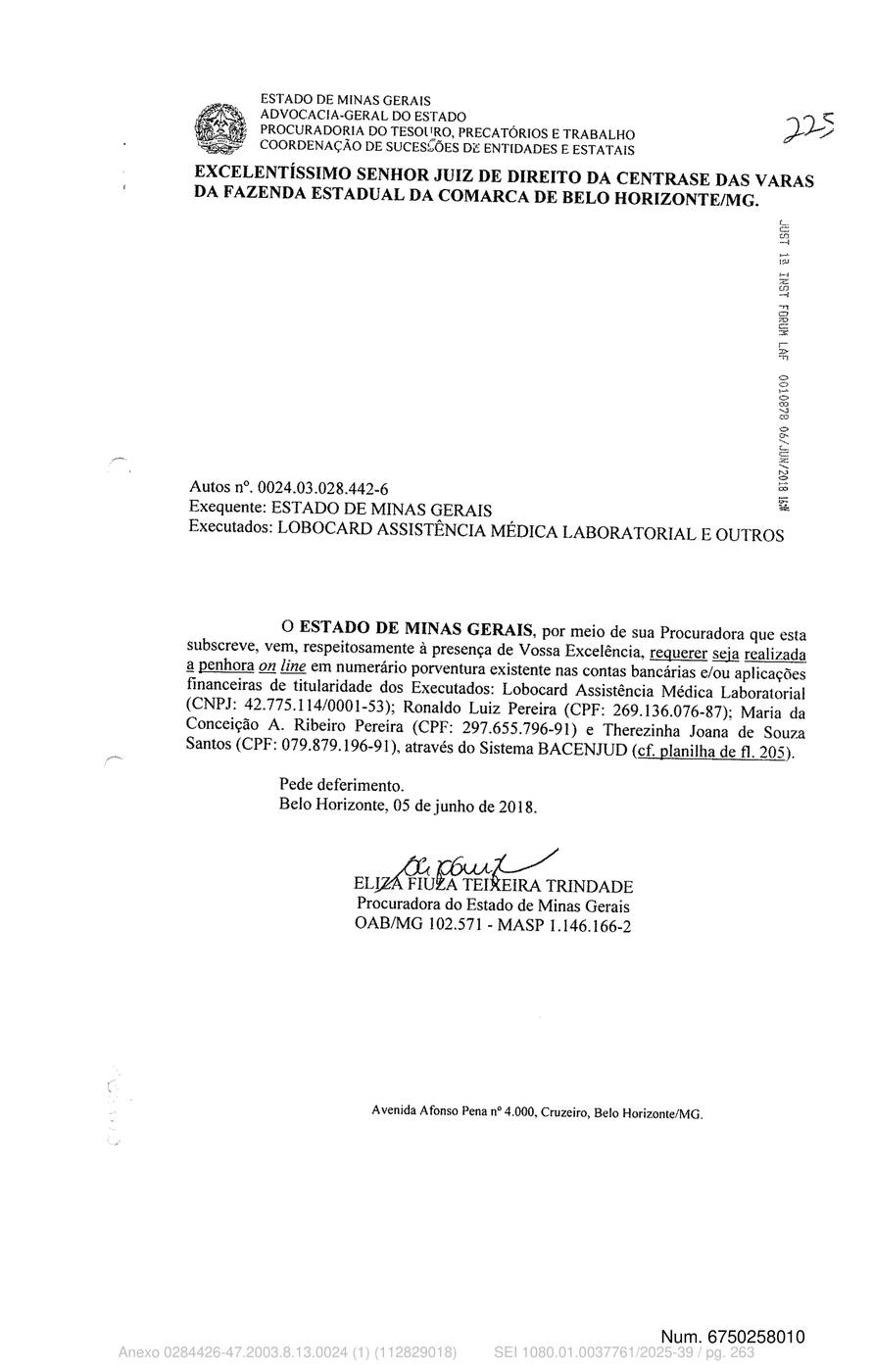 Página 263