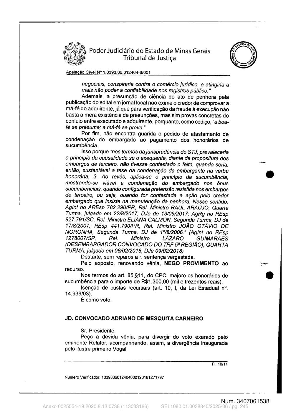 Página 245