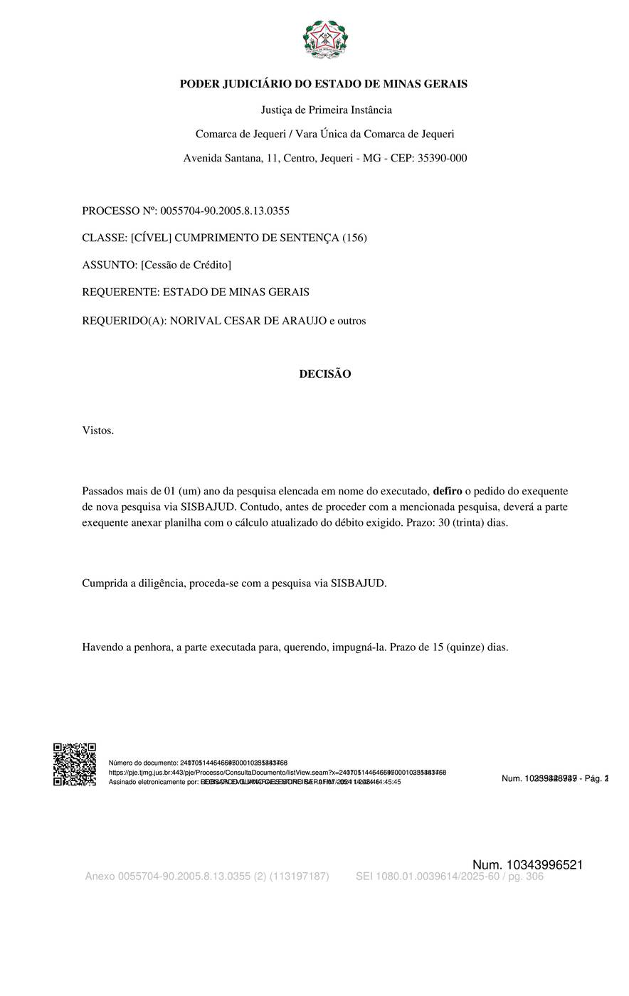 Página 306