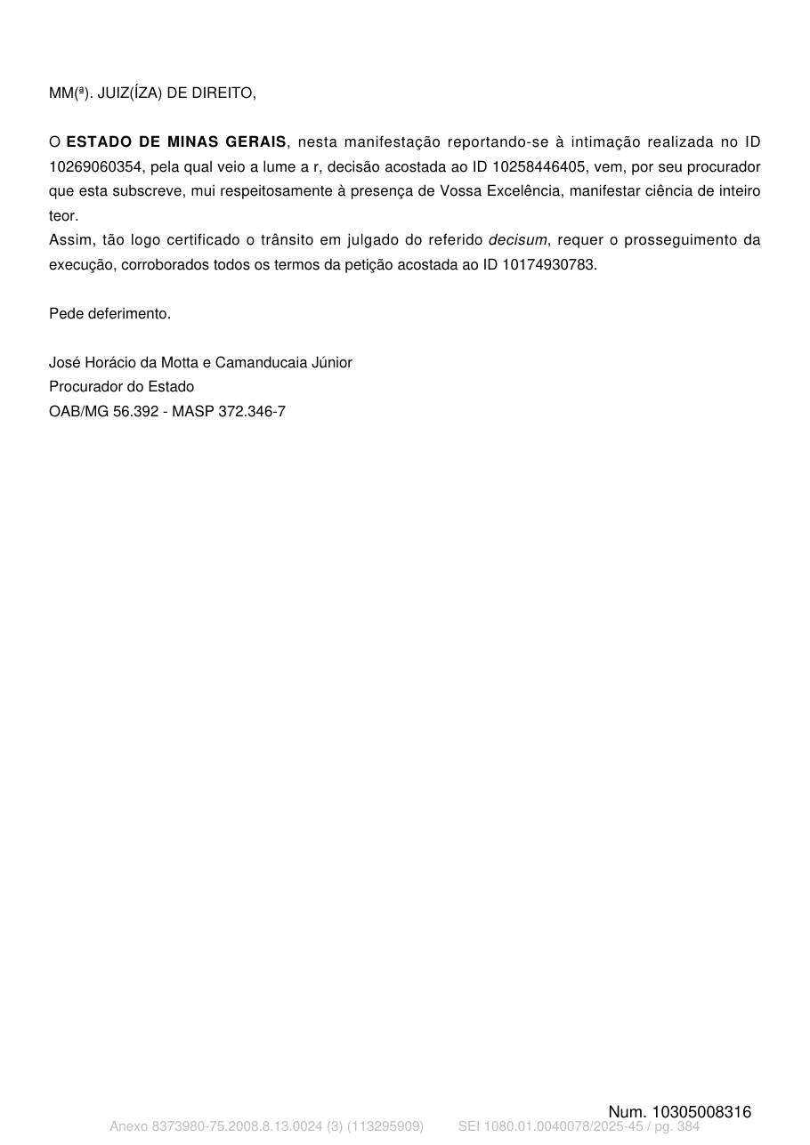 Página 384